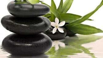 Nature Plants Wallpaper Zen Plumeria