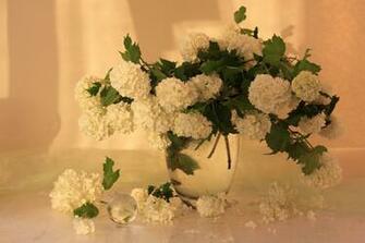 Beautiful Flower Wallpaper For You Vase Of Flowers