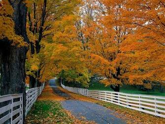 Wallpaper Autumn Scenery Desktop