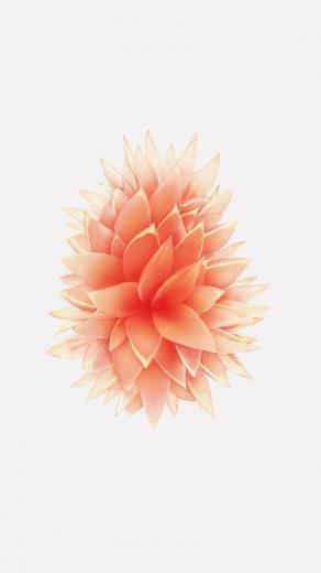 iPhone Se And iPad Pro Wallpaper