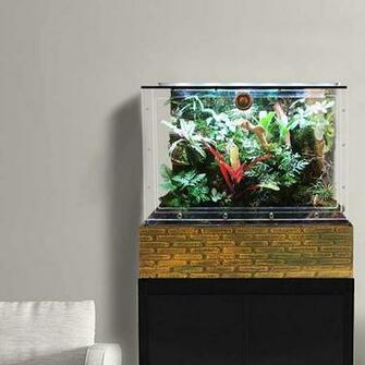 Rainforest Vivarium Kit Paludarium With Waterfall Background For