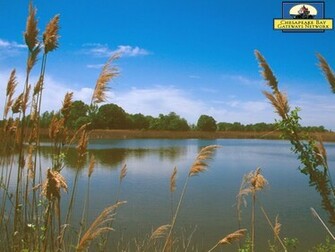 Chesapeake Bay Wallpaper