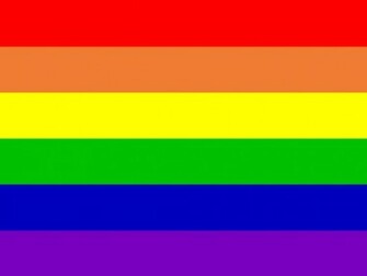 Ogni Anno Nel Mese Di Giugno Si Celebra Il Gay Pride Che Riunisce
