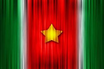Flag Of Suriname By Ravirajcoomar