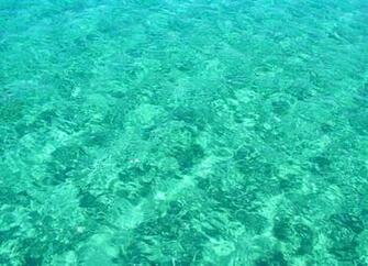 Longboat Key Sarasota Floride Wallpaper Memes