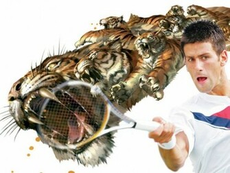 Novak Djokovic Wallpaper