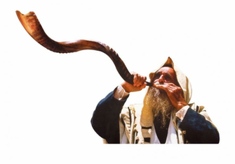 Halleluyah Authentic Natural Long Transparent Background