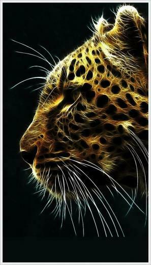 Awesome iPhone Wallpaper Edition