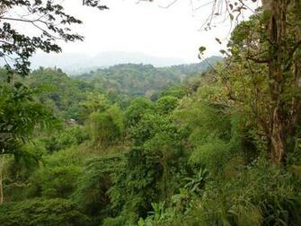 Mountain Scenery Pictures Wallpaper Tropical Mountains Philippines