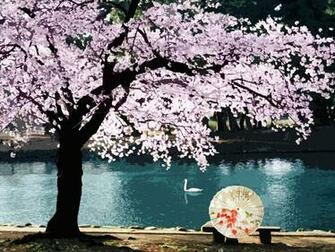 Desktop Background Colourful Photos Of Spring Iniwoo Net