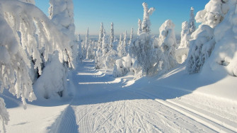 Snowy Winter Scenes Wallpaper