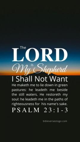 Bible