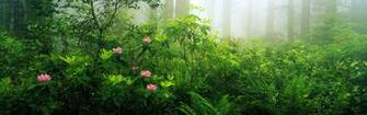 Wallpaper Windows Official Panoramic Waves