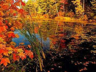 Signs Of Fall Screensaver