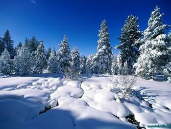 Winter Wallpaper HD Resolution
