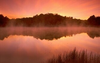 Misty Lake Wallpaper