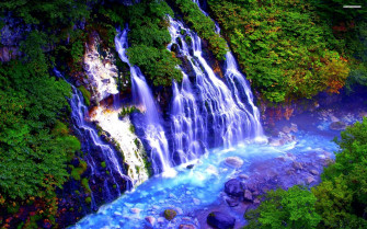 Background Photo HD Full Screen Wallpaper