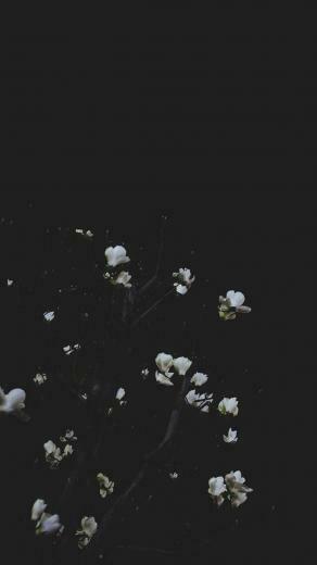 Take A Chill Pill With Mindful iPhone Wallpaper Fondos