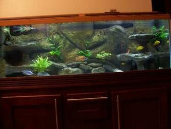 Bch Diy 3d Background Aquarium