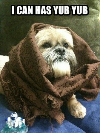 Ewoks Starwars D391b7d859 Bebe Ewok