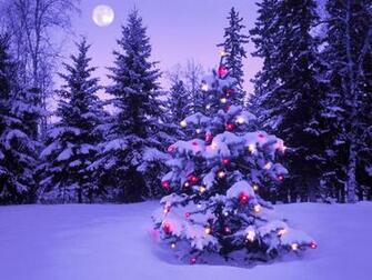 Screensavers Christmas Light Displays Scene Wallpaper