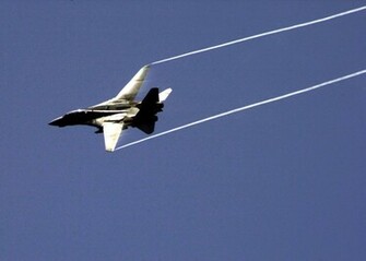 Tomcat HD Wallpaper Pictures