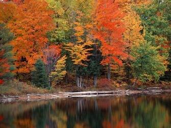 Nature Hiawatha National Forest Upper Peninsula Michigan Picture