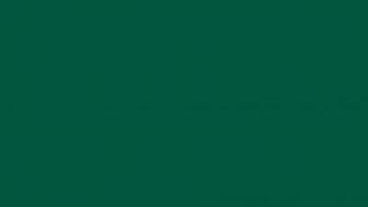 Sacramento State Green Solid Color Background