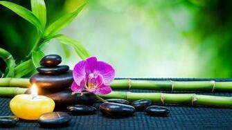 Mindfulness Bamboo Wallpaper High Definition