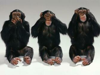 No Evil Hear Speak Three Monkeys Photo Wallpaper