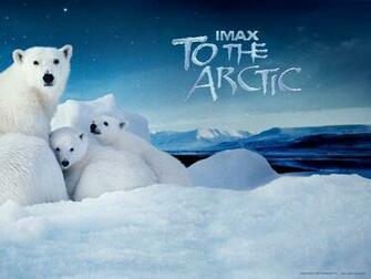 Arctic Wallpaper Desktop