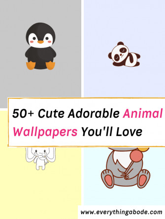 Cute Adorable Animal Wallpaper For iPhone Everything Abode