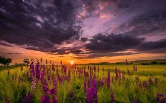 Gallery For Gt Summer Night Sky Wallpaper