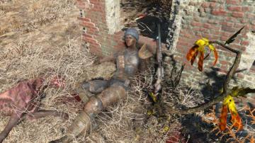 Commonwealth Travel Guide Fallout