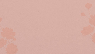 Aesthetic Minimalist Flower Background Image Wallpaper