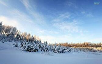 Beautiful Snow Wallpaper