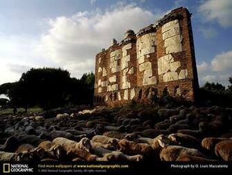 Italy Rome Wall Ruins Photo Of The Day Picture Photography