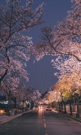 Top Spring Aesthetic Wallpaper Choices With Korean Vibes In