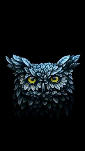 Owl iPhone Six Wallpaper 6s Funny