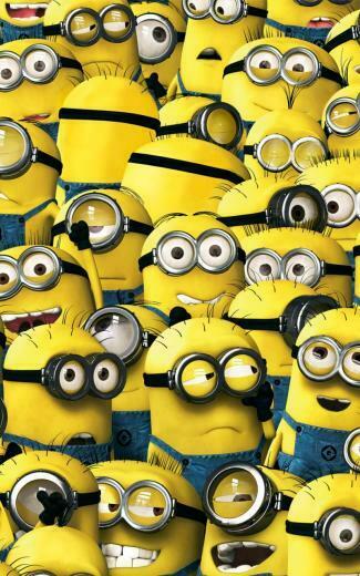 Resoloution Minions Movie Team Photo HD Wallpaper