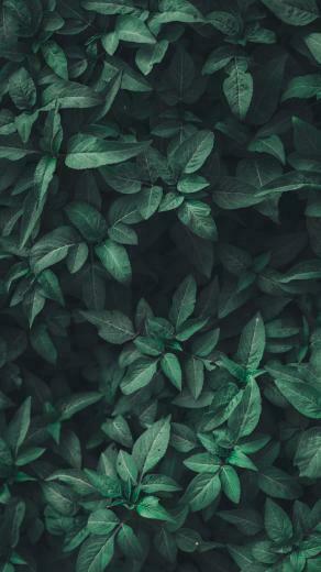 Pattern Wallpaper HD Hq