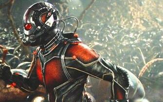 Ant Man Paul Rudd Wallpaper