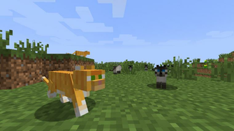 Minecraft Ocelot Wallpaper Ocelots By Ludolik