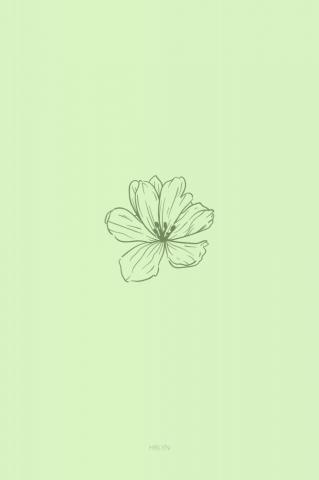 Wallpaper Flower Green Minimalist Mint Sage