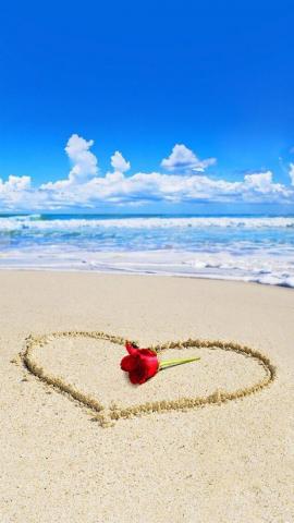 Rose Beach Wallpaper Phone Live HD