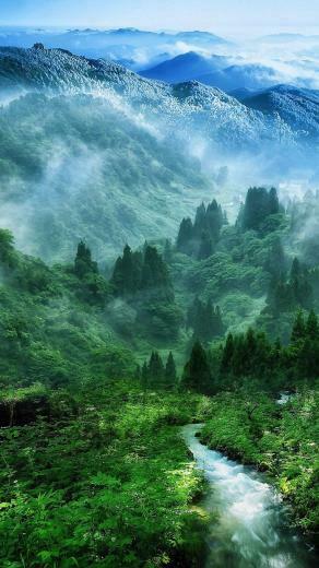 Natural iPhone Wallpaper For The Nature Lovers
