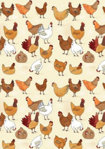 Chicken Wallpaper