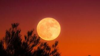 Three Of Tampa Bay S Most Intriguing Unexplained Mysteries