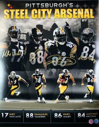 Total Sports Enterprises Platinum Collector S Club Steelers