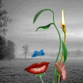 Simply Superb Wallpaper HD Uploaded By Vandana